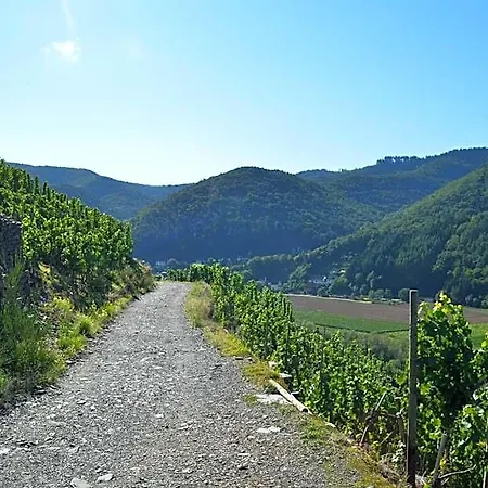 Jagdhaus Rech - Ahr *
